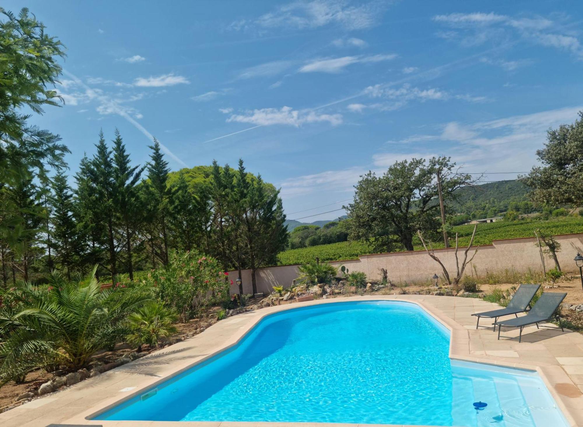 Chambre Face Aux Vignes Vidauban Exterior photo